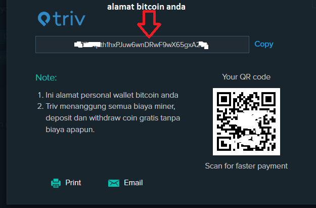 Cara Menukar Bitcoin ke Bank Lokal di Triv